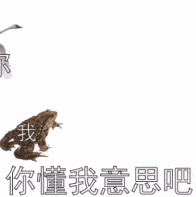 我懒蛤蟆_你飞天鹅_你懂我意思吧_懒蛤蟆想吃天鹅肉DIY斗图gif搞笑图片