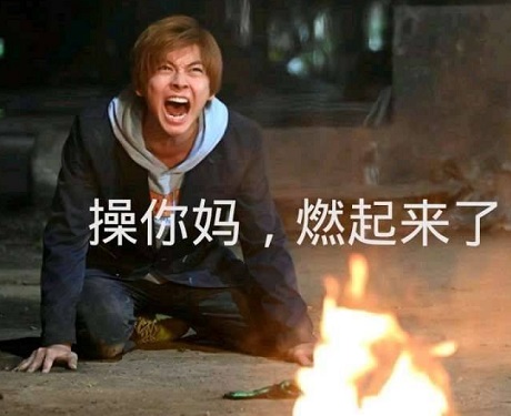 日本假面骑士跪地大吼：操你妈_燃起来了DIY斗图gif搞笑图片