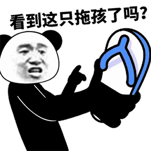 熊猫头拿着拖鞋：看到这只拖孩了吗_去你的！DIY斗图gif搞笑图片
