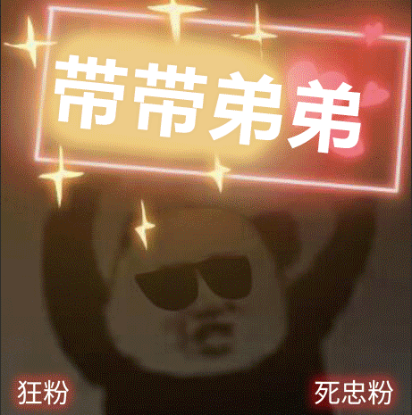 戴着墨镜的熊猫头举着RGB应援牌：带带弟弟DIY斗图gif搞笑图片