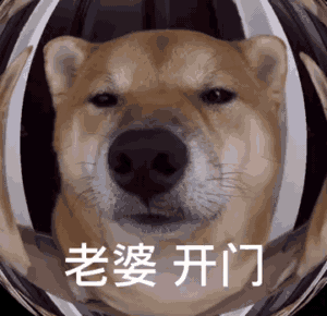 被关在门外的柴犬透过鹰眼：老婆是我呀_我回来了_开个门GIF动图DIY斗图gif搞笑图片