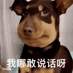 被蜜蜂蛰了的狗：我哪敢说话啊GIF动图DIY斗图gif搞笑图片