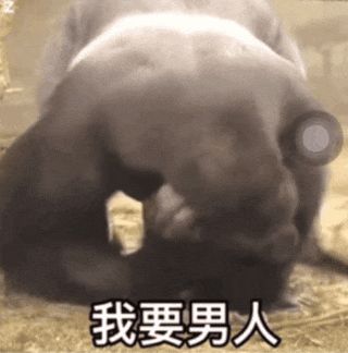 大猩猩低头抱着脑袋摇晃：我要男人_男人_男人GIF动图DIY斗图gif搞笑图片