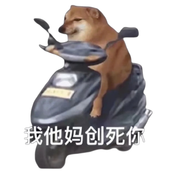 柴犬小狗骑着电动车：我他妈创（撞）死你_透明底pngDIY斗图gif搞笑图片