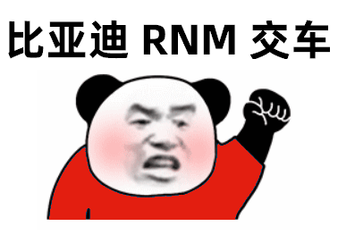 [高清]熊猫头生气的挥拳：比亚迪_RNM_交车DIY斗图gif搞笑图片