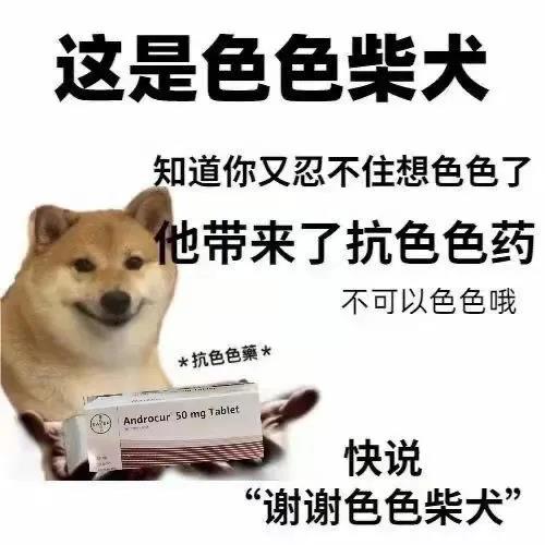 色色柴犬知道你又忍不住想要色色了就给你带来了抗色色药DIY斗图gif搞笑图片