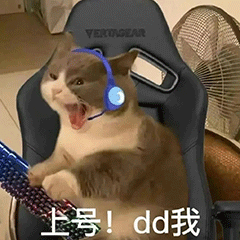小猫咪戴着耳机大吼：上号dd我DIY斗图gif搞笑图片