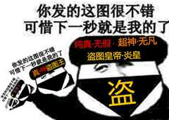 熊猫头盗图静态表情盗图皇帝，真盗图王DIY斗图gif搞笑图片