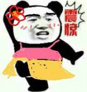 女版熊猫头惊了表情震惊DIY斗图gif搞笑图片