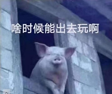 小猪：啥时候能出去玩啊DIY斗图gif搞笑图片