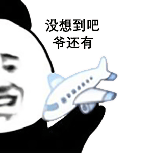 熊猫头玩飞机表情包没想到吧_爷还有DIY斗图gif搞笑图片
