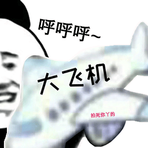 熊猫头玩飞机表情包呼呼呼_大飞机DIY斗图gif搞笑图片