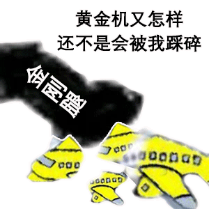熊猫头玩飞机表情包黄金机又怎么样_还不是被我金刚腿踩碎DIY斗图gif搞笑图片