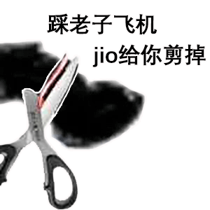 熊猫头玩飞机表情包踩老子飞机_脚给你剪断DIY斗图gif搞笑图片