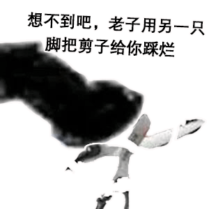 熊猫头玩飞机表情包想不到吧_老子用另一脚把剪子给你踩烂DIY斗图gif搞笑图片