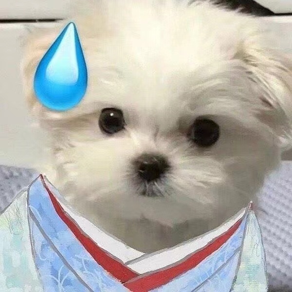 猫猫流汗表情包发表情gif搞笑图片