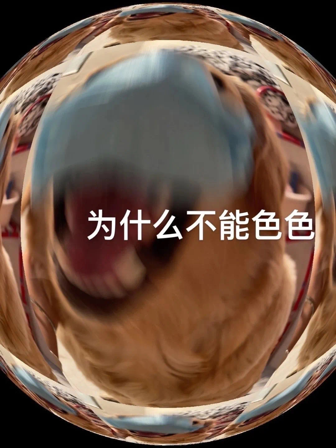 为什么不能色色发表情gif搞笑图片