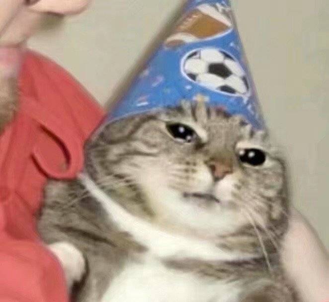 流泪猫猫头发表情gif搞笑图片