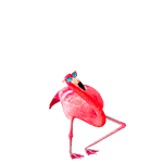 可爱动图小表情5发表情gif搞笑图片