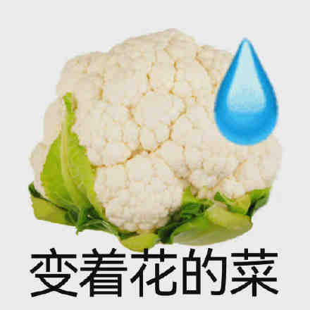 变着花的菜发表情gif搞笑图片