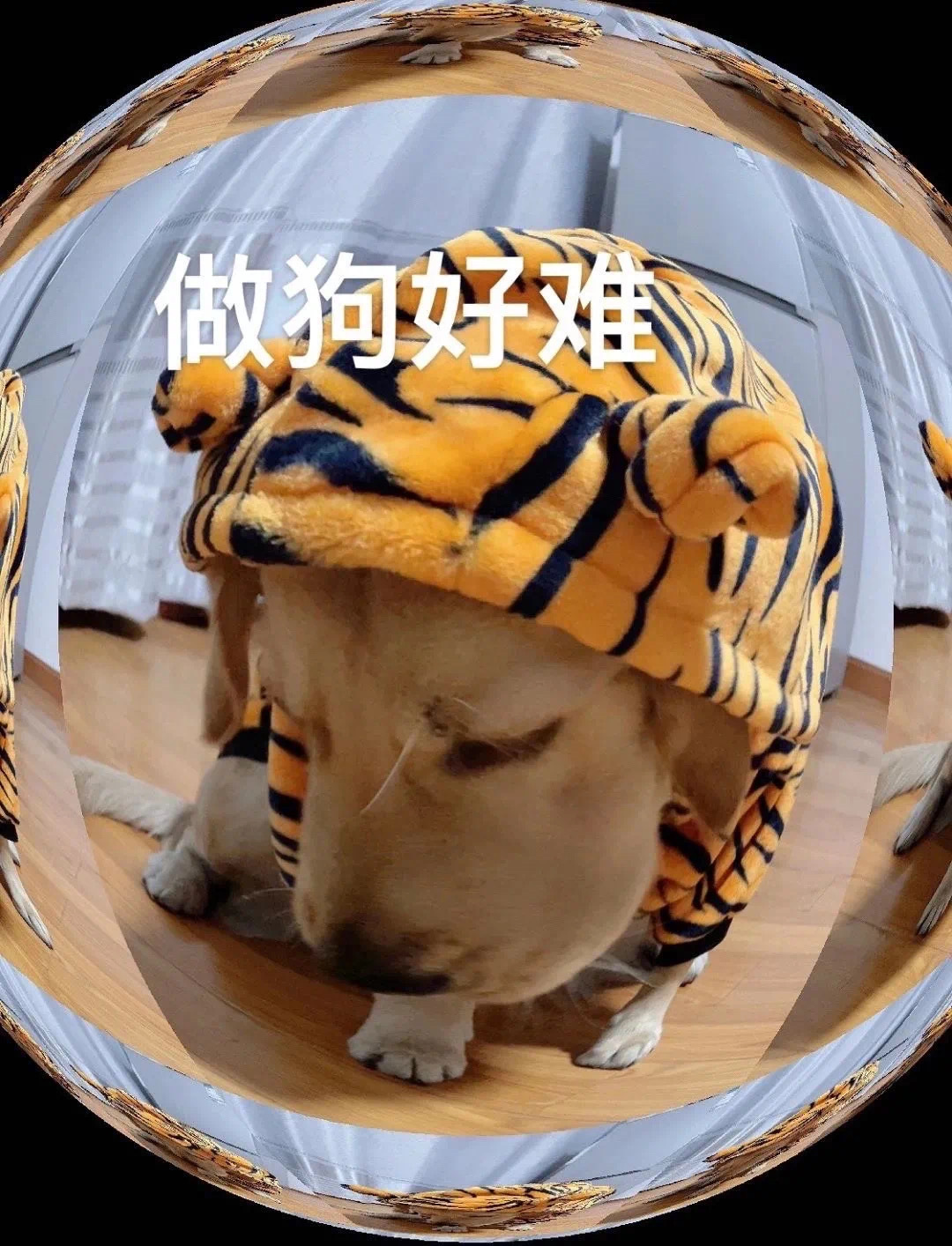 做狗好难发表情gif搞笑图片