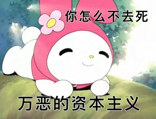 你怎么不去死万恶的资本主义（孙一宁王思聪聊天表情包）发表情gif搞笑图片