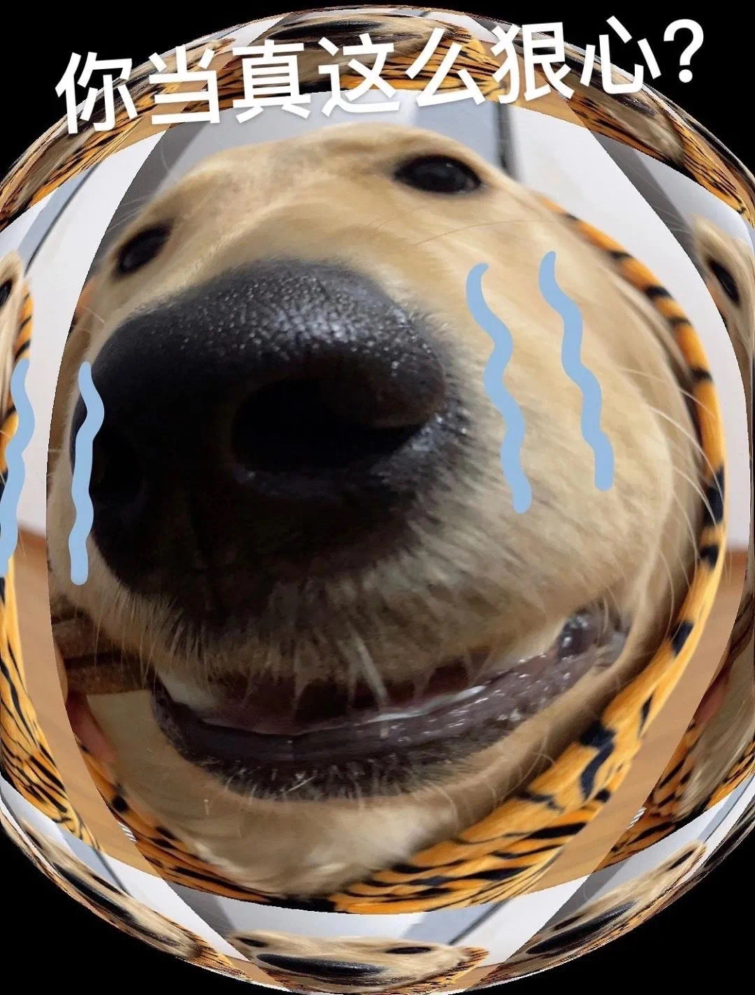 你当真这狠心?发表情gif搞笑图片