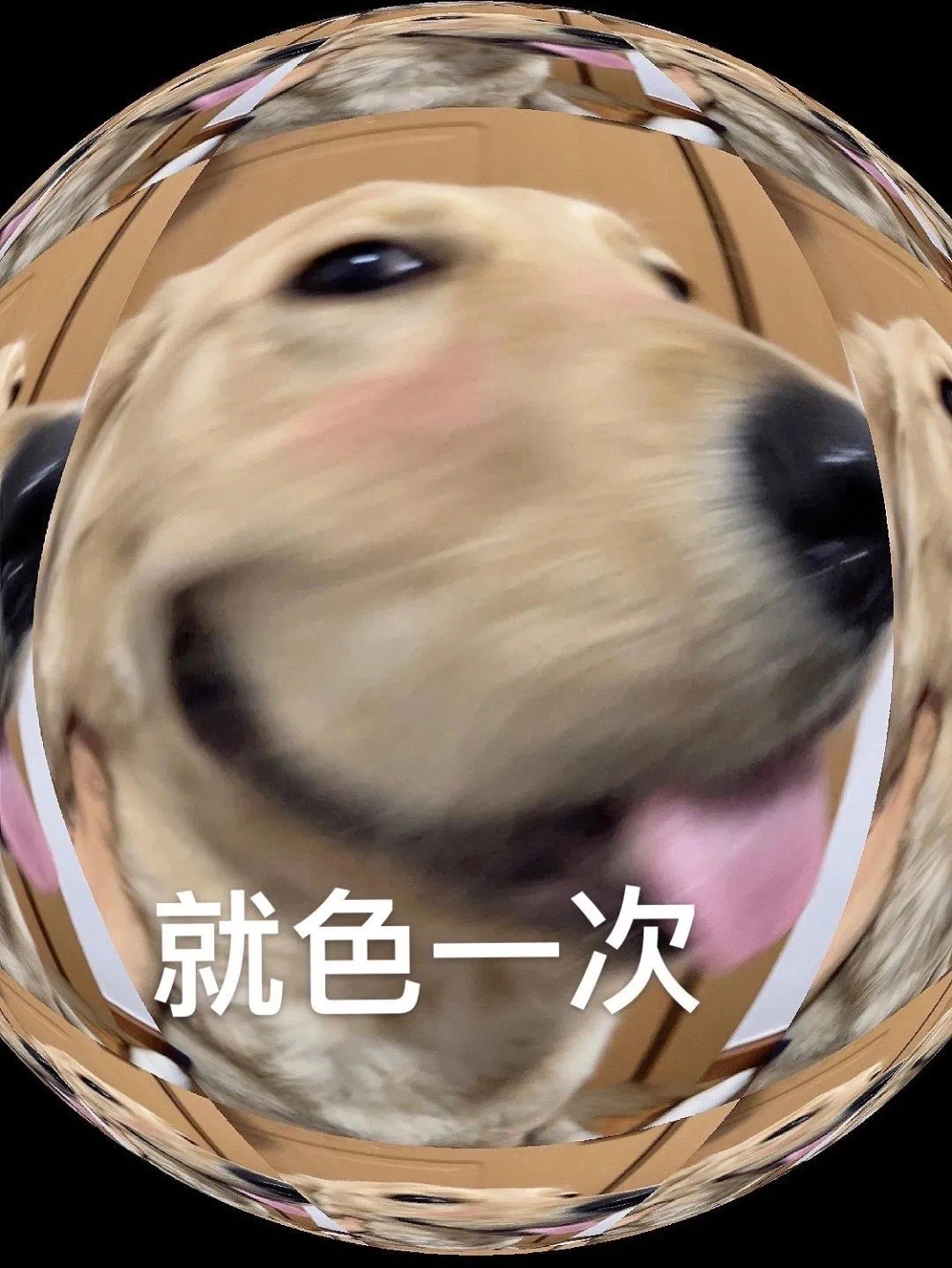 就色一次发表情gif搞笑图片