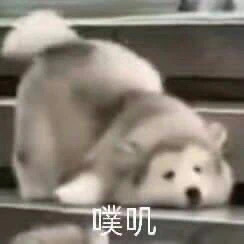 噗叽发表情gif搞笑图片