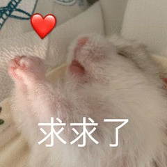 求求了发表情gif搞笑图片