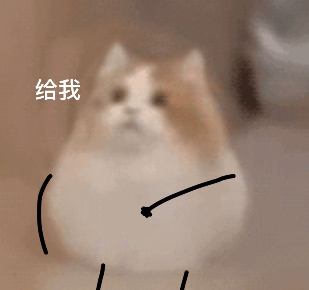 给我发表情gif搞笑图片