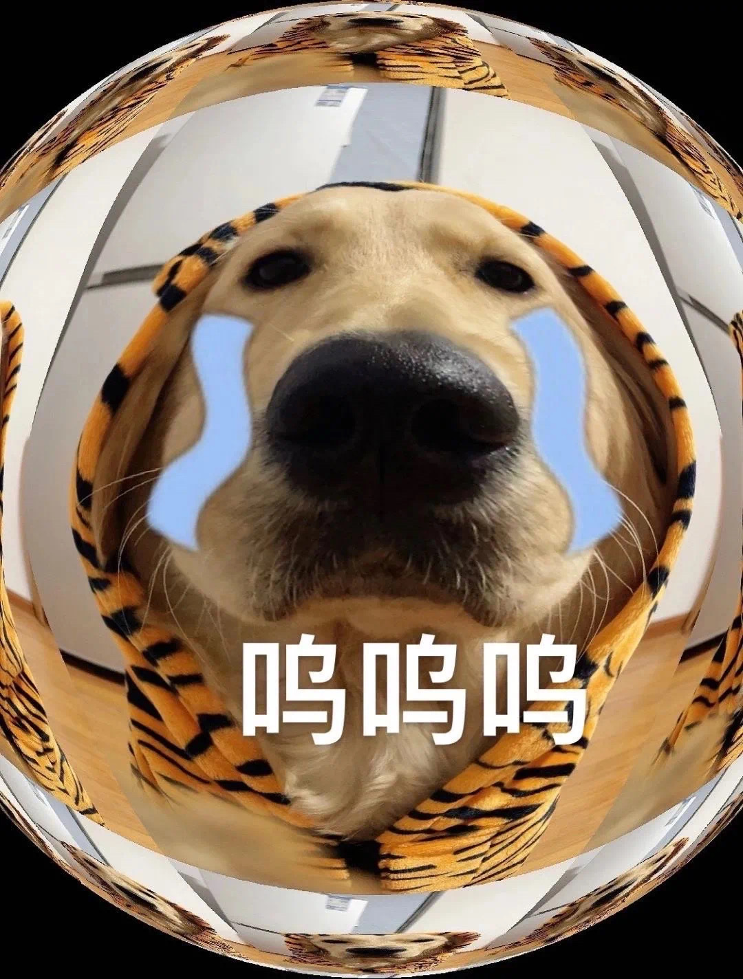 呜呜呜发表情gif搞笑图片