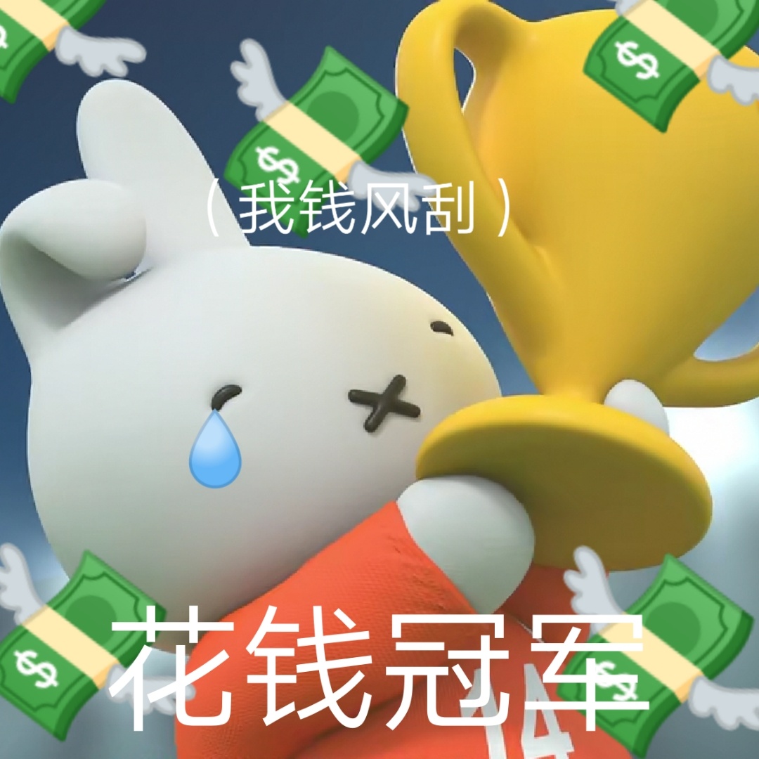 6我钱风刮)6花钱冠车发表情gif搞笑图片