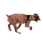 养狗狗表情包发表情gif搞笑图片