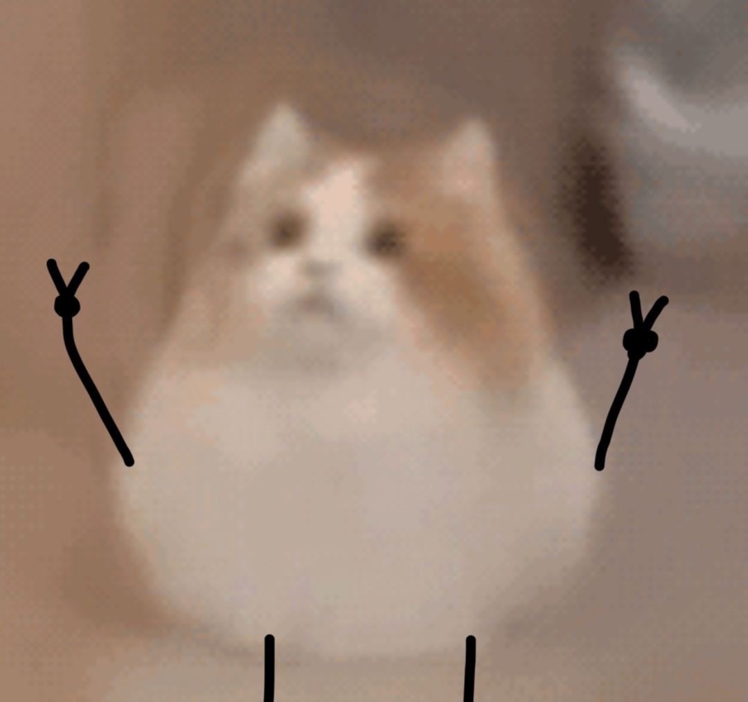 (比耶)发表情gif搞笑图片