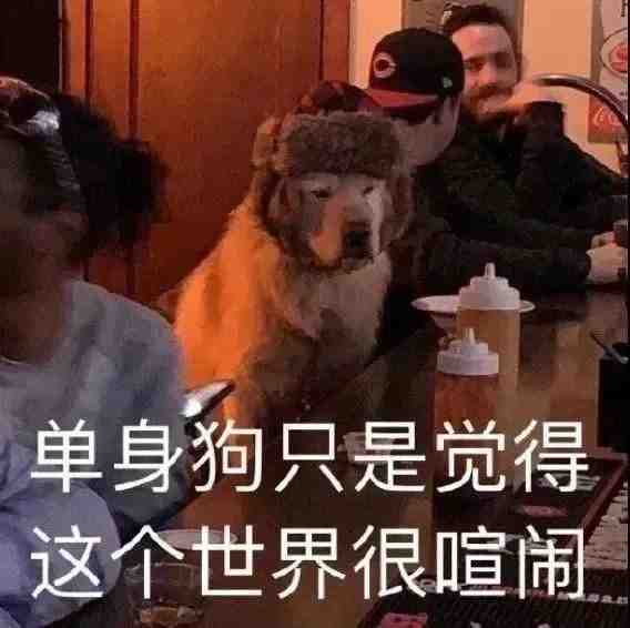 单身狗只是觉得这个世界很喧闹发表情gif搞笑图片