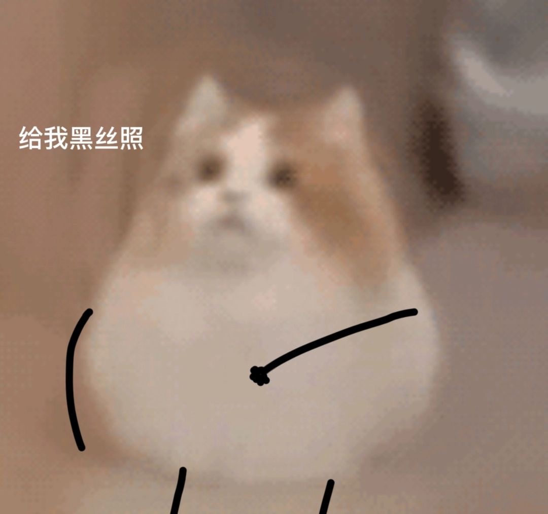 给我黑丝照发表情gif搞笑图片