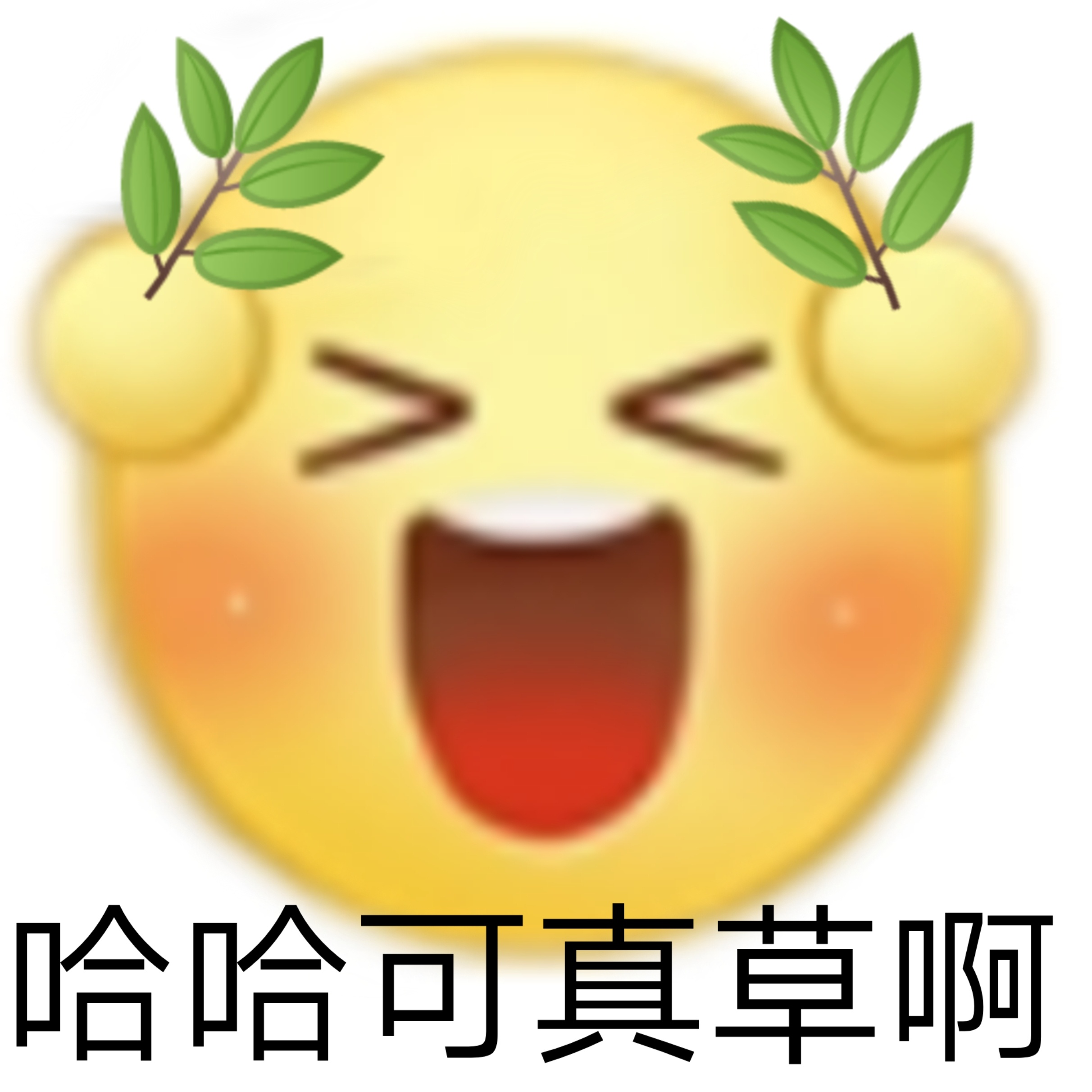 哈哈可真草啊发表情gif搞笑图片