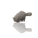 猫咪表情包发表情gif搞笑图片