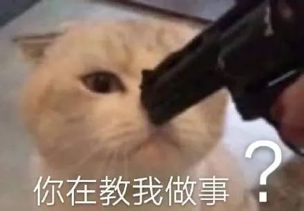 你在教我做事？（孙一宁王思聪聊天表情包）发表情gif搞笑图片