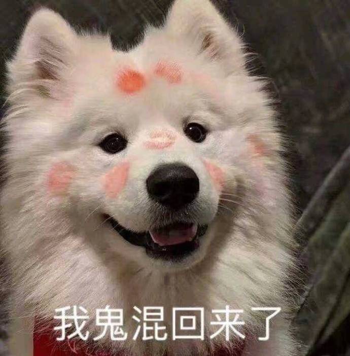 我鬼混回来了发表情gif搞笑图片