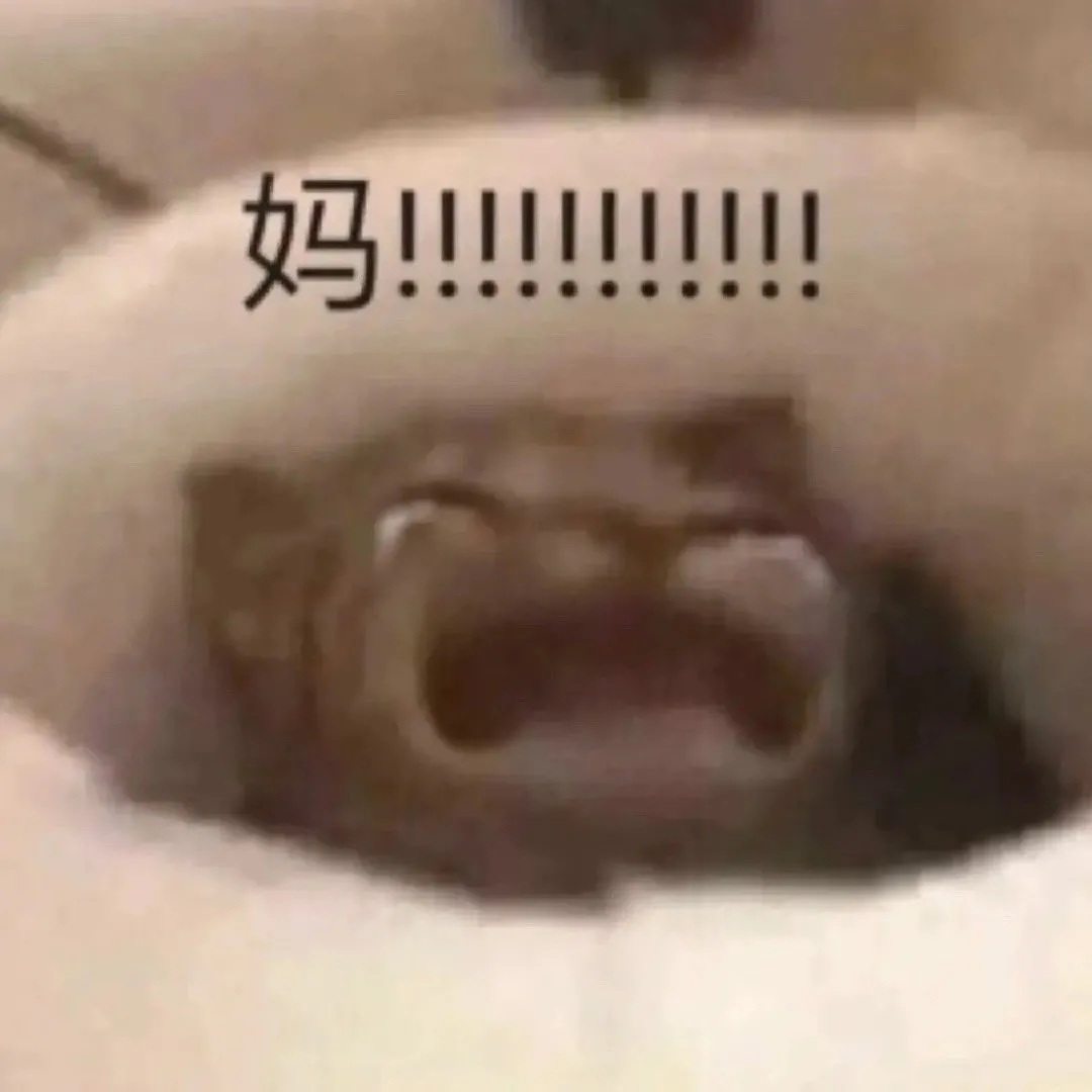 妈!!!发表情gif搞笑图片