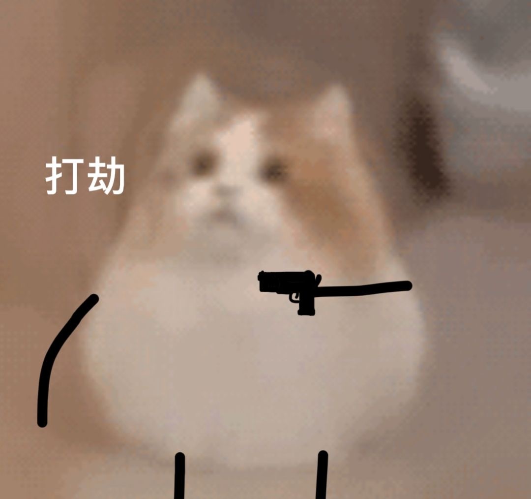 打劫发表情gif搞笑图片