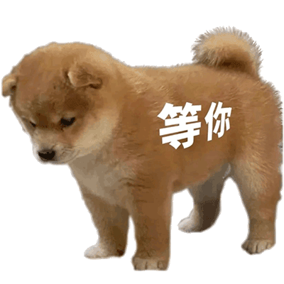 等你发表情gif搞笑图片