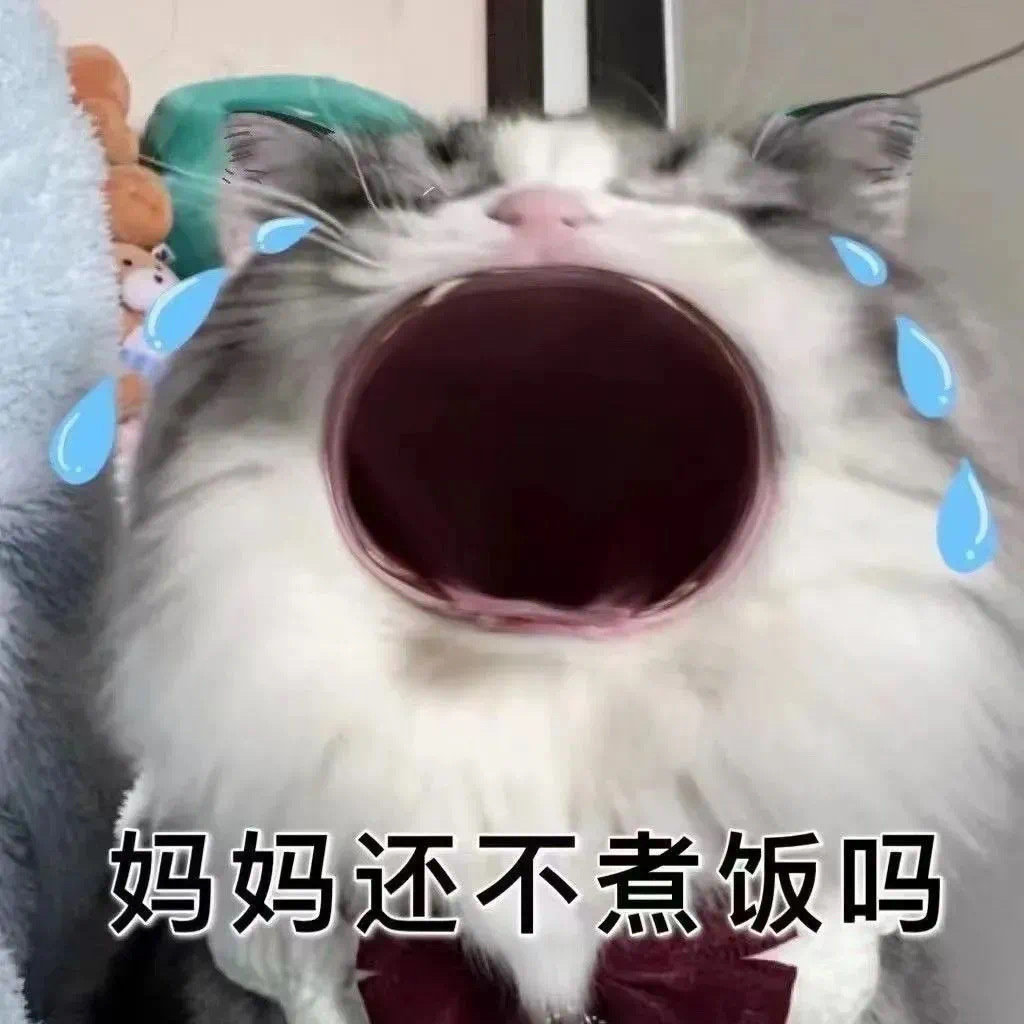 妈妈还不煮饭吗发表情gif搞笑图片