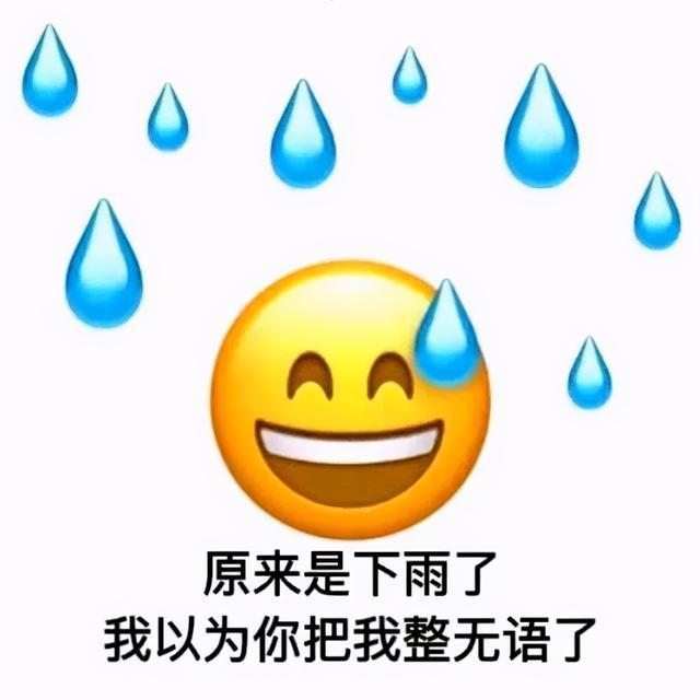 原来是下雨了 我以为你把我整无语了发表情gif搞笑图片