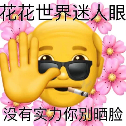 花花世界迷人眼没有实力你别晒脸发表情gif搞笑图片