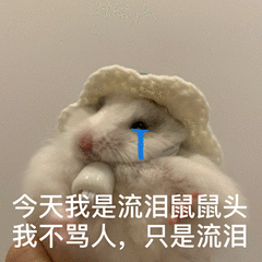 今天我是流泪鼠鼠头我不骂人,只是流泪发表情gif搞笑图片