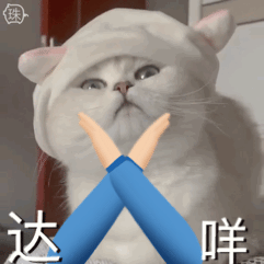 猫猫表情包  达咩发表情gif搞笑图片