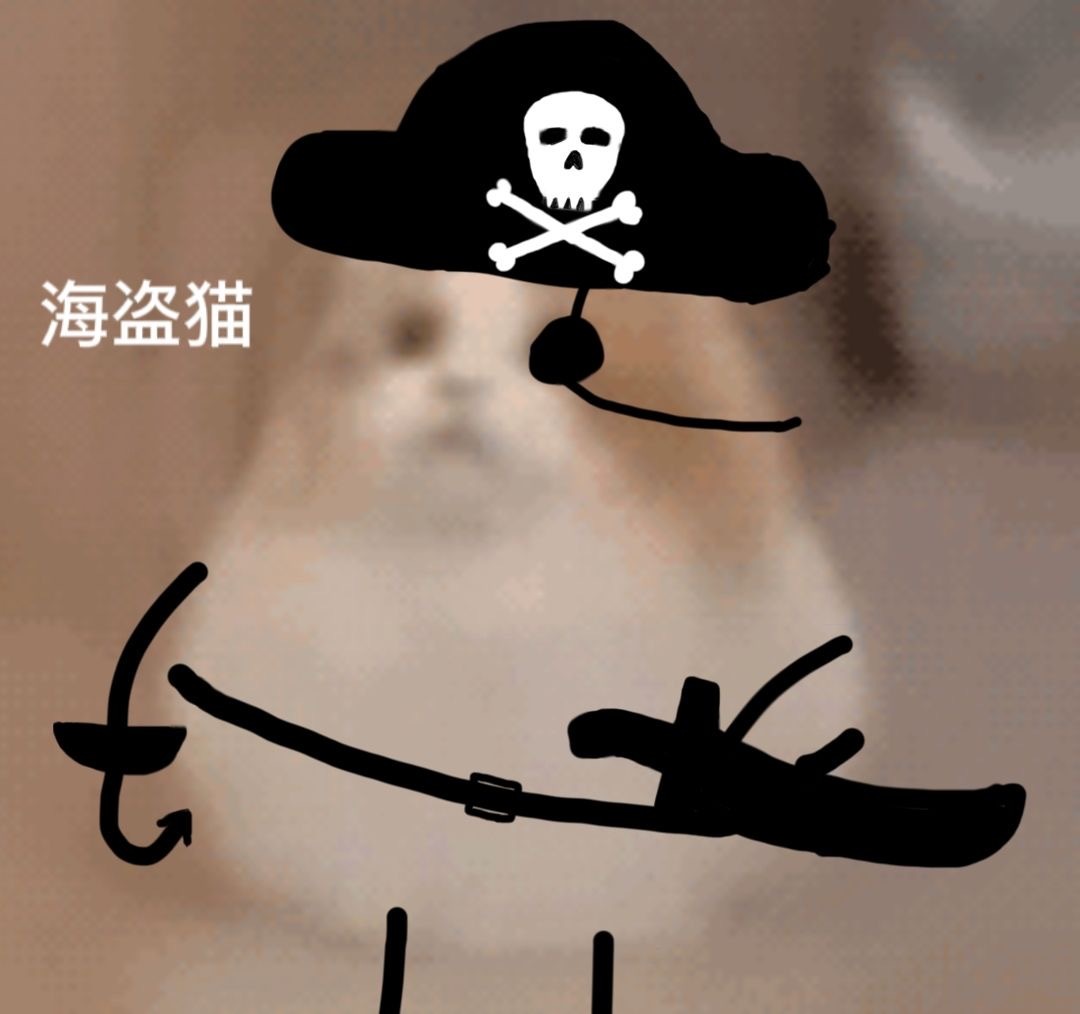海盗猫发表情gif搞笑图片